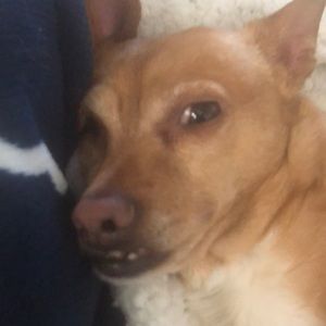 Meet your Posher, Nicolaas